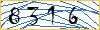 Type the numbers that you see in the picture