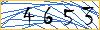 Type the numbers that you see in the picture