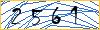Type the numbers that you see in the picture
