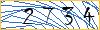 Type the numbers that you see in the picture