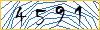 Type the numbers that you see in the picture