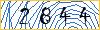Type the numbers that you see in the picture