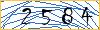 Type the numbers that you see in the picture