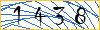Type the numbers that you see in the picture