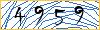 Type the numbers that you see in the picture