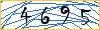 Type the numbers that you see in the picture