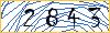 Type the numbers that you see in the picture