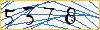 Type the numbers that you see in the picture