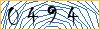 Type the numbers that you see in the picture