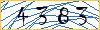 Type the numbers that you see in the picture