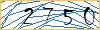 Type the numbers that you see in the picture