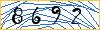 Type the numbers that you see in the picture