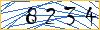 Type the numbers that you see in the picture