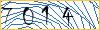 Type the numbers that you see in the picture
