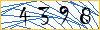 Type the numbers that you see in the picture