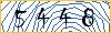 Type the numbers that you see in the picture