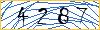 Type the numbers that you see in the picture
