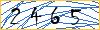 Type the numbers that you see in the picture
