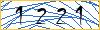 Type the numbers that you see in the picture