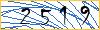 Type the numbers that you see in the picture