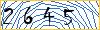 Type the numbers that you see in the picture
