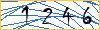 Type the numbers that you see in the picture