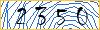 Type the numbers that you see in the picture