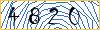 Type the numbers that you see in the picture