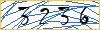 Type the numbers that you see in the picture