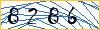 Type the numbers that you see in the picture