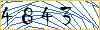 Type the numbers that you see in the picture