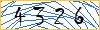 Type the numbers that you see in the picture
