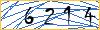 Type the numbers that you see in the picture