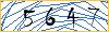 Type the numbers that you see in the picture