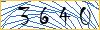 Type the numbers that you see in the picture