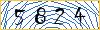 Type the numbers that you see in the picture