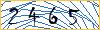 Type the numbers that you see in the picture