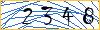 Type the numbers that you see in the picture
