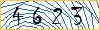 Type the numbers that you see in the picture