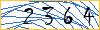 Type the numbers that you see in the picture