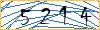 Type the numbers that you see in the picture