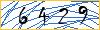 Type the numbers that you see in the picture