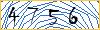 Type the numbers that you see in the picture