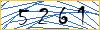 Type the numbers that you see in the picture