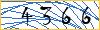 Type the numbers that you see in the picture