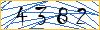 Type the numbers that you see in the picture