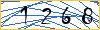Type the numbers that you see in the picture