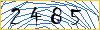 Type the numbers that you see in the picture