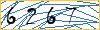 Type the numbers that you see in the picture