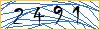 Type the numbers that you see in the picture